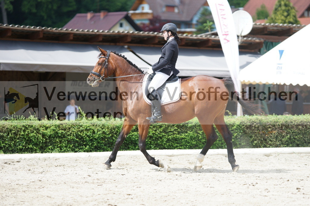 DSC05325 | equestrian-live-com