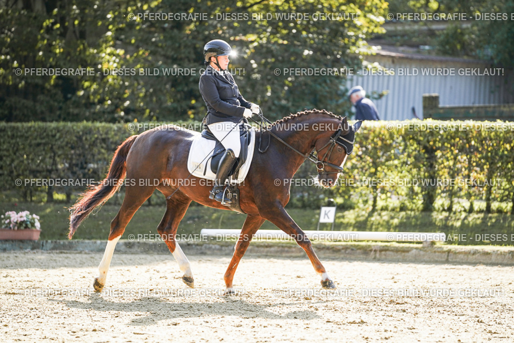 DSC06516 | Pferdegrafie