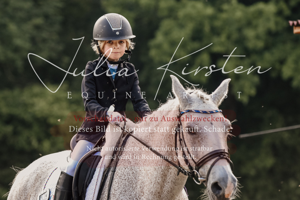 DSC_8369 | Pferde- und Turnierfotografie in Westsachsen. Pferdeportraits, Auftragszeichnungen und intuitive Kunst.