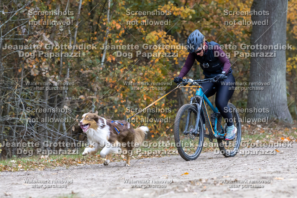 Dog Paparazzi - SD CaniX Championship 2025-592 | Dog Paparazzi Jeanette Grottendiek Fotografie & Videografie - Realisiert mit Pictrs.com