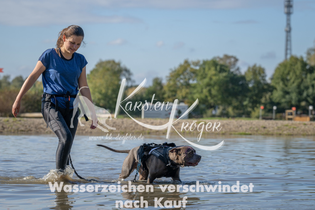 1332_ZZ90778 | kk-dogfotos