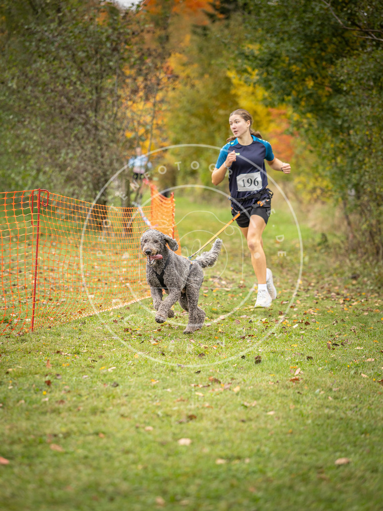 Pfotenfotografie_DV3A3863 | Hundefotografie, Tierfotograf, Pfotenfotografie, Fotoshooting Hund, Hunde Portrait, Hundesport, Hundeportraits, Heideshooting, Hunde, Sportfotograf, Hundefotograf, Turnierhundsport, THS,  - Realisiert mit Pictrs.com