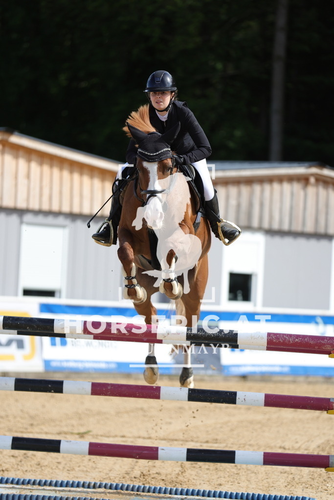 0P6A5410 | Willkommen bei Brunnmayr - Design & Fotografie – Ihrem Spezialisten für Reitturniere und Pferdeveranstaltungen in Oberösterreich, Salzburg und Bayern! Seit über 17 Jahren sind wir leidenschaftlich dabei.