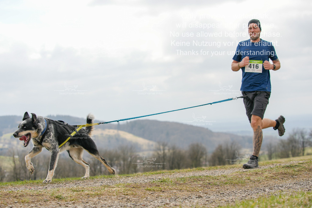 CaniXRunSA-97 | stephaniefillaphotographie - Realisiert mit Pictrs.com