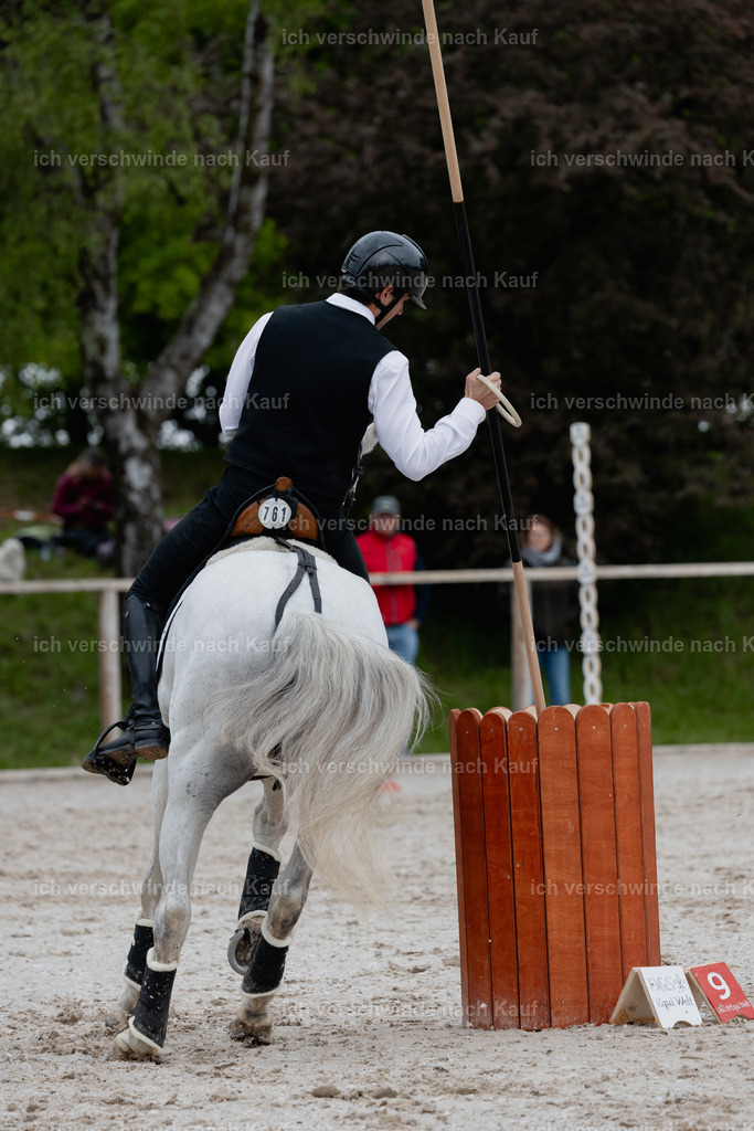 PI26_SP_StoibphotographyC2_C0560.jpg | working equitationturnier fotograf videograf stoibphotography marixx film working equitation deutschland reitsport turnierfotografie eventfotografie equestrian events