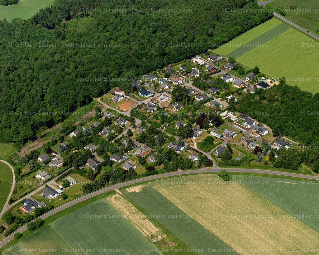 Schauren-3123101 | Schauren