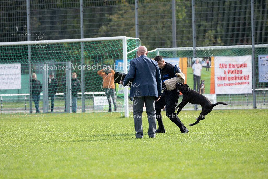 _16A5427 | Einzigartige Fotos von Hunden & Menschen –Actionfotos, Portraits, Vereinsaufnahmen & Paarshootings – authentisch, lebendig & mit Herz.