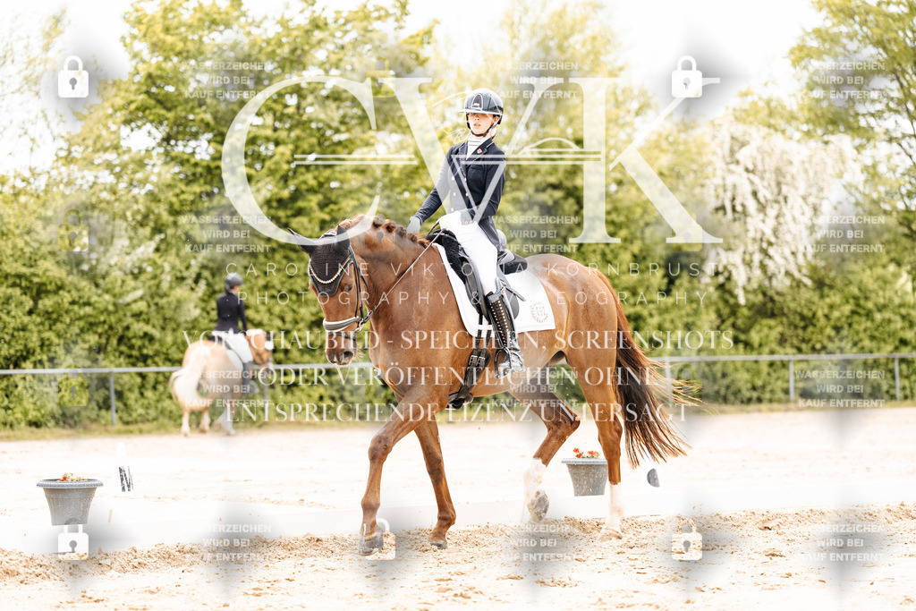 CK902857 | Turnierfotografie Pferdefotografie Trier Rheinland-Pfalz Pferdesport Reitsport Tierfotografie Sportfotografie Pferdevideo Pferdevideografie Equestrianvideography equestrianphotography  - Realisiert mit Pictrs.com