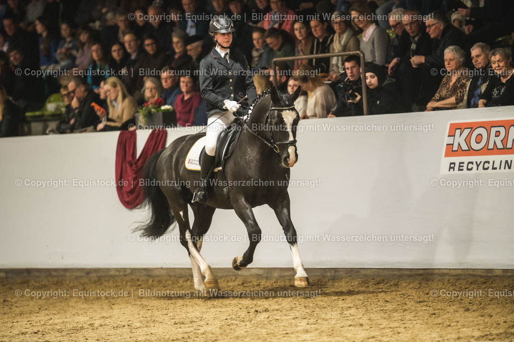 20240302_Hengstvorstellung_Marbach_TOMsPiC_0712-2 | equistock