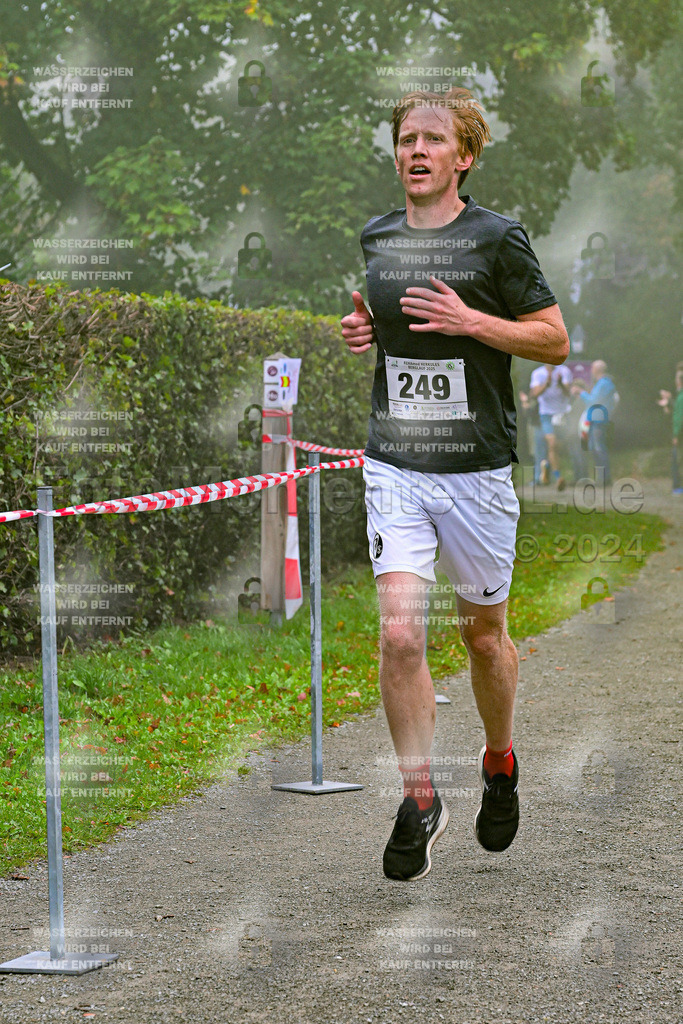 Z8N_1235 | la-psv - Realisiert mit Pictrs.com