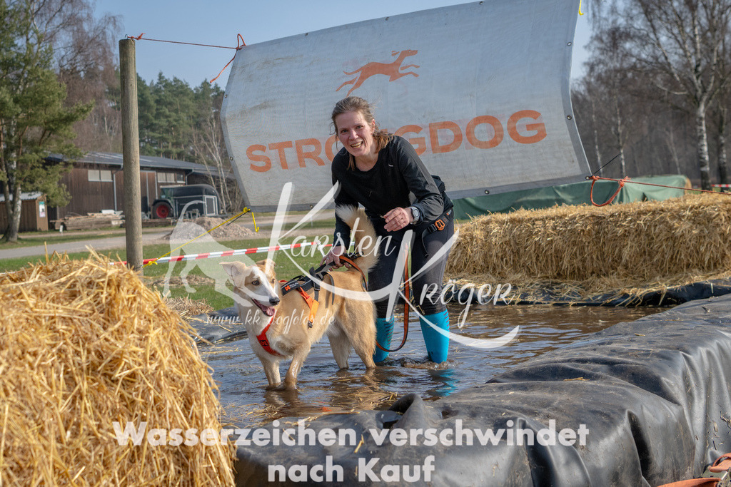 _ZZ92186 | kk-dogfotos