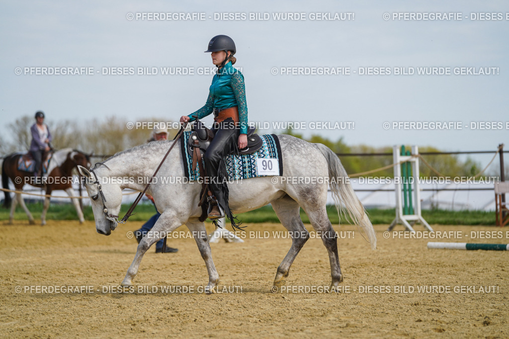 DSC04664 | Pferdegrafie