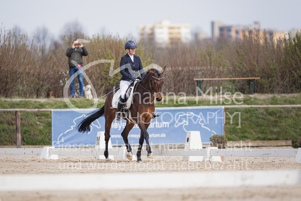 230410_Frühlingsfest_DressurWBE1-217 | Deine schönsten Turniermomente als professionelle Fotos! Entdecke hochwertige Pferdesport-Fotografie im Online-Shop. Jetzt Fotos finden & bestellen!