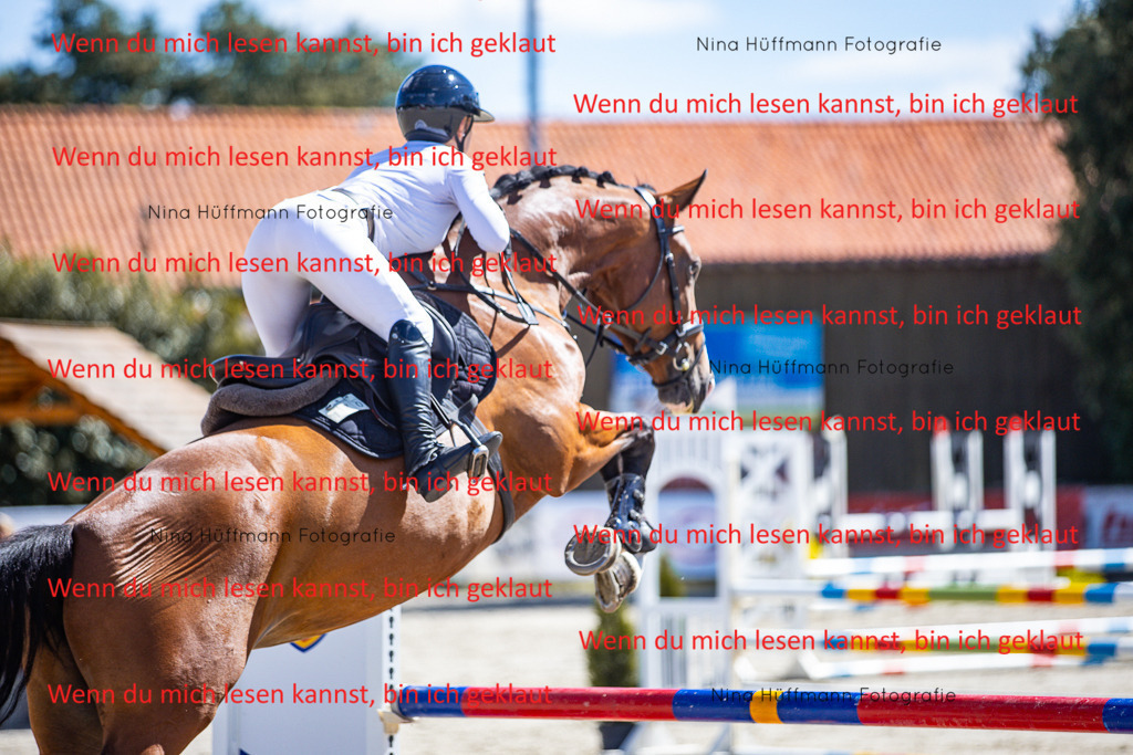 BK1A5321 | Turnierbilder Turnierfotos Nina Hüffmann Turnierfotografie Pferdefotografie Tierzeichnung Haustierzeichnung Pferdezeichnung Hundezeichnung Videograf  - Realisiert mit Pictrs.com