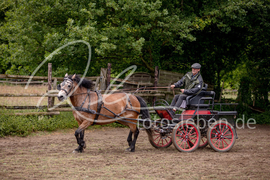 846A0629 | fotosleben - Realisiert mit Pictrs.com