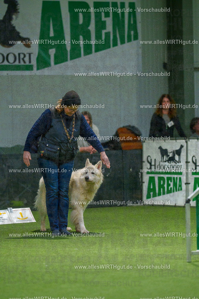 7R504191 | Professionelle Tierfotografie in Mönchengladbach von Daniel Wirth (allesWIRTHgut). Liebevolle & natürliche Bilder von Hunden & Katzen für unvergessliche Erinnerungen.