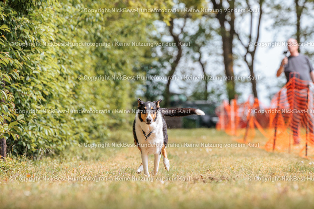 Sage Hunderennen Frühlingsfest-2026-Nickbest-Hundefotografie-0502 | Dein Hund! Dein Moment! Deine Erinnerungen! Hundefotografie in Bremen Blumenthal. Ich fange die besonderen Momente deines Vierbeiners ein – ob Indoor mit Blitzanlage oder in der freien Natur. Sicher dir dein Moment und dein Termin für eure Erinnerungen.