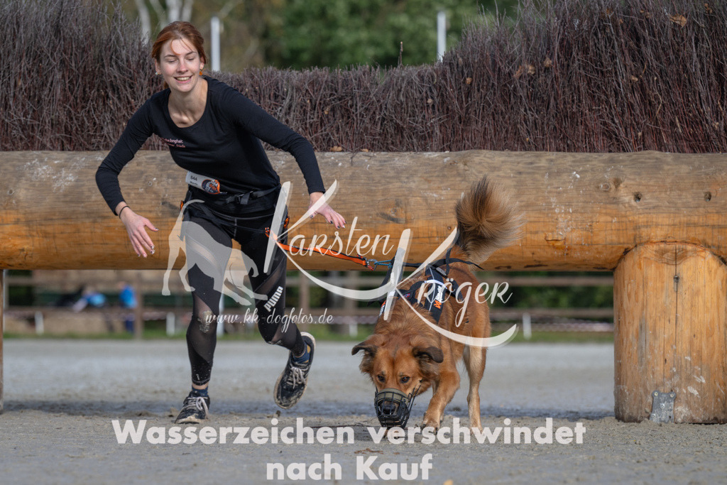 1121-94090 | kk-dogfotos