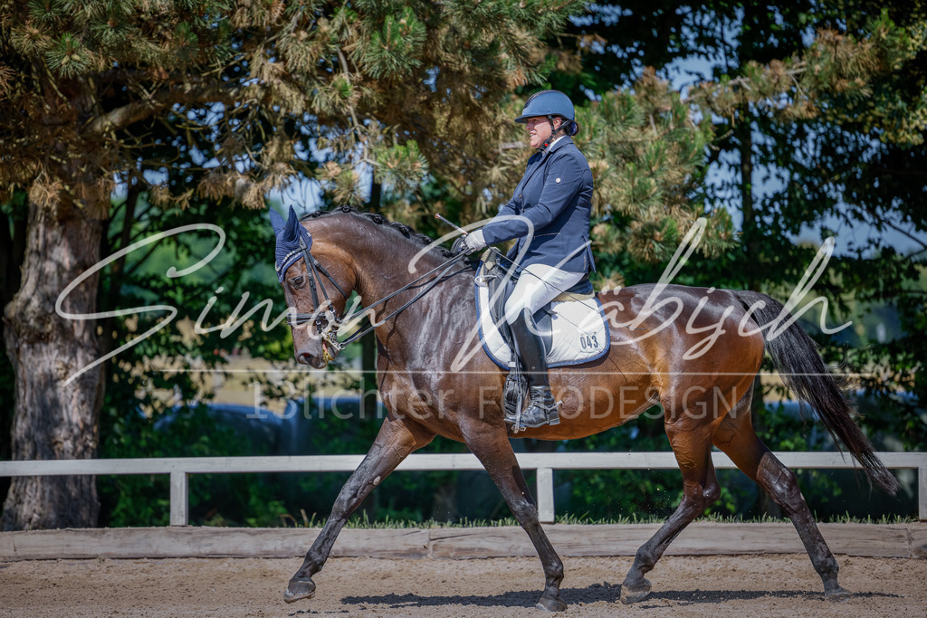 20250621-_3LI9481 | Tierfotografie Pferde, Hunde, Katzen, Haustiere.
Turnierfotografie Reitturniere, Reiten, Springreiten, Dressur in Hanau, dem Main-Kinzig-Kreis und dem Rhein-Main- Gebiet um Frankfurt