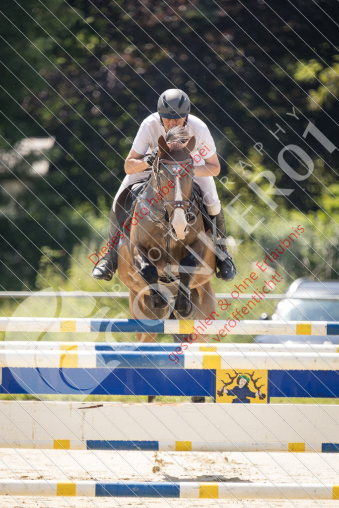 IMG_9161 | Sport-, Event- und Tierfotos in Profiqualität. Einfach auswählen, bestellen und herunterladen. Dein Moment – perfekt festgehalten.