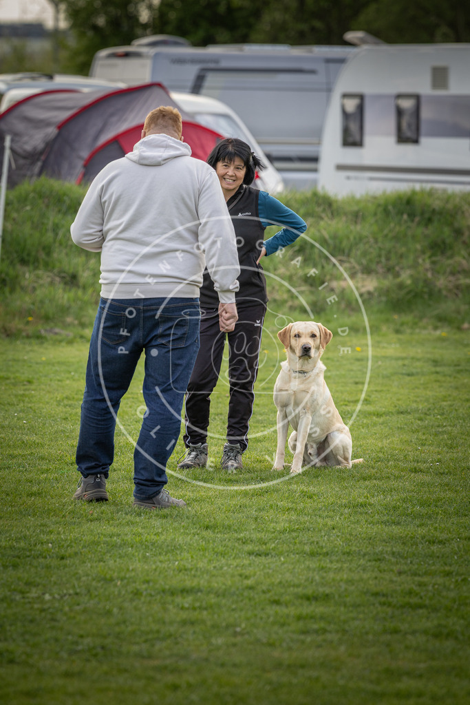 Pfotenfotografie_DV3A4928 | Hundefotografie, Tierfotograf, Pfotenfotografie, Fotoshooting Hund, Hunde Portrait, Hundesport, Hundeportraits, Heideshooting, Hunde, Sportfotograf, Hundefotograf, Turnierhundsport, THS,  - Realisiert mit Pictrs.com