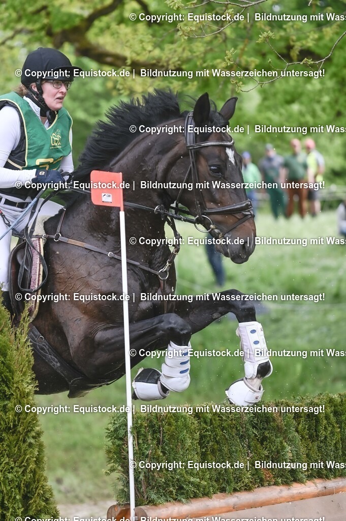 20250517_CCI1_Gelände_0407 | Foto: Thomas Hartig
