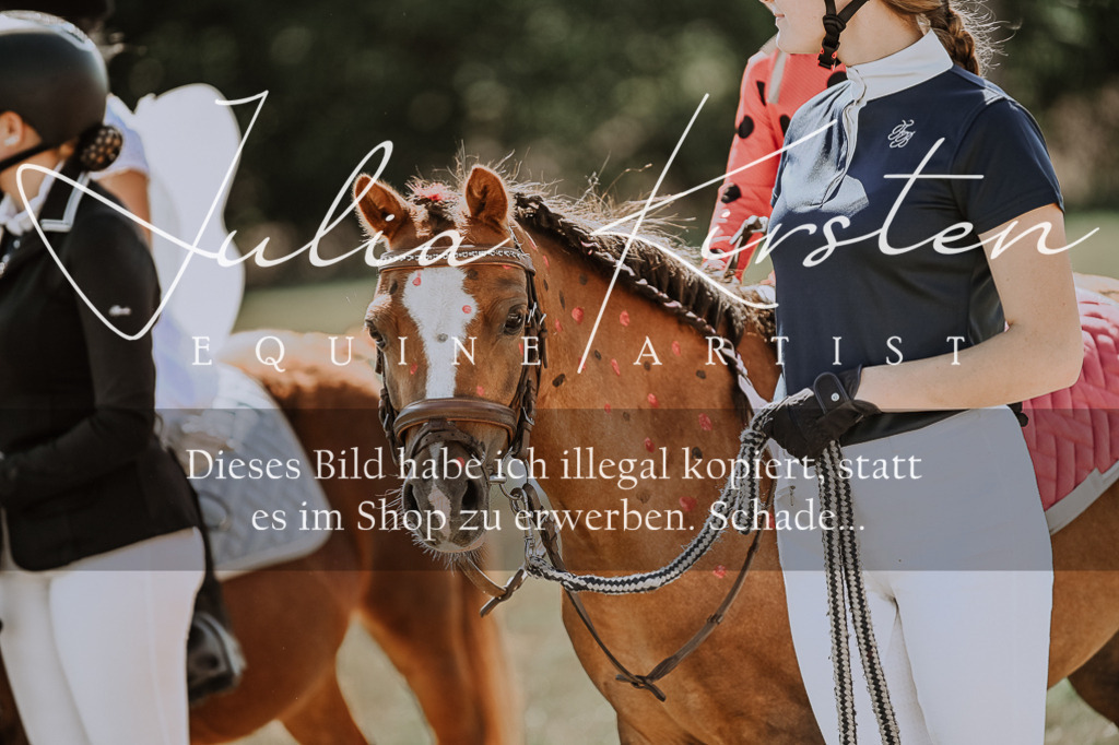 DSC_8942 | Pferde- und Turnierfotografie in Westsachsen. Pferdeportraits, Auftragszeichnungen und intuitive Kunst.