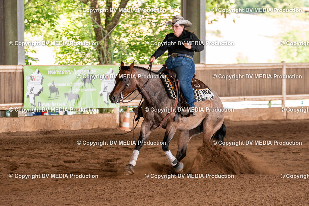 Erbach Tag 2-739 | dv-media-shop - Realisiert mit Pictrs.com