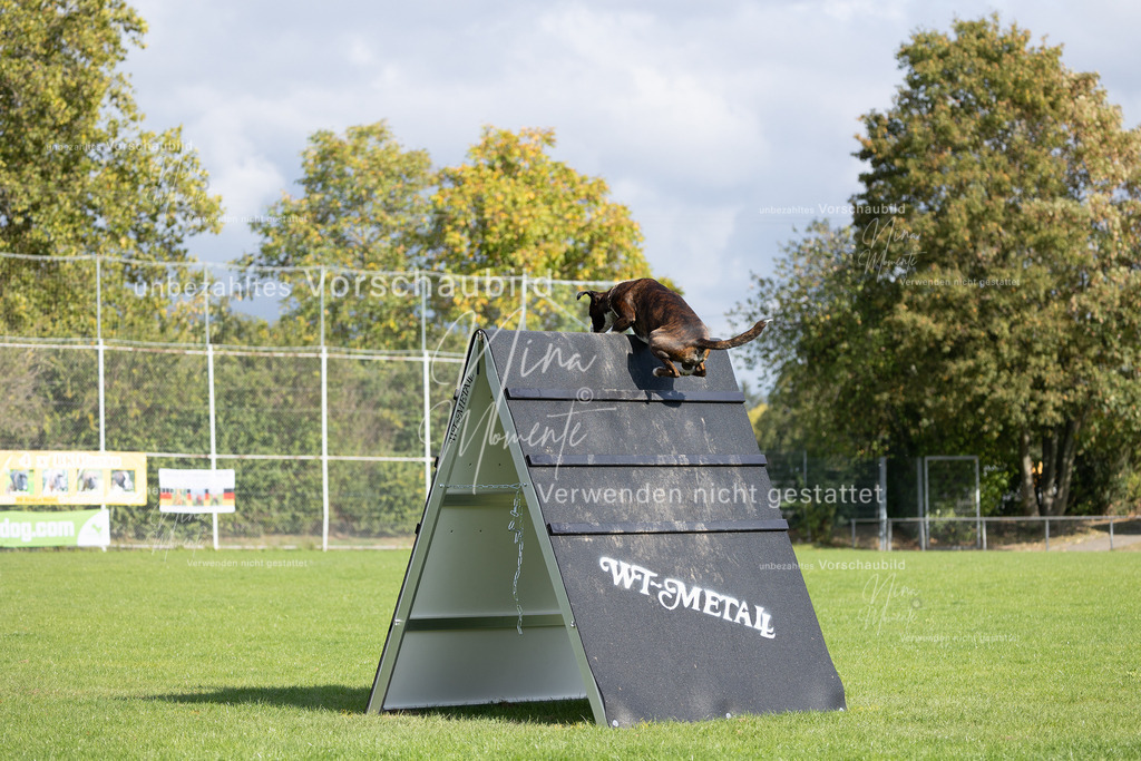 _16A6913 | Einzigartige Fotos von Hunden & Menschen –Actionfotos, Portraits, Vereinsaufnahmen & Paarshootings – authentisch, lebendig & mit Herz.