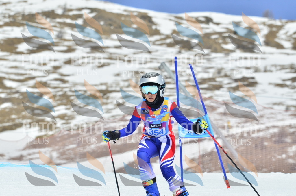 _ELE2727 | holidayphoto