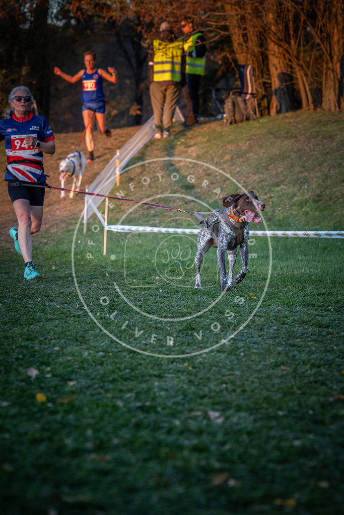 CaniXpix_0L8A2047 | Hundefotografie, Tierfotograf, Pfotenfotografie, Fotoshooting Hund, Hunde Portrait, Hundesport, Hundeportraits, Heideshooting, Hunde, Sportfotograf, Hundefotograf, Turnierhundsport, THS,  - Realisiert mit Pictrs.com