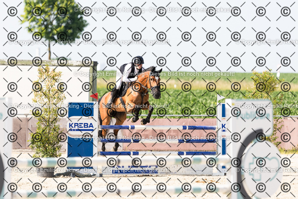 CL5A1137 | Emilia Reinking Fotografie - Realisiert mit Pictrs.com