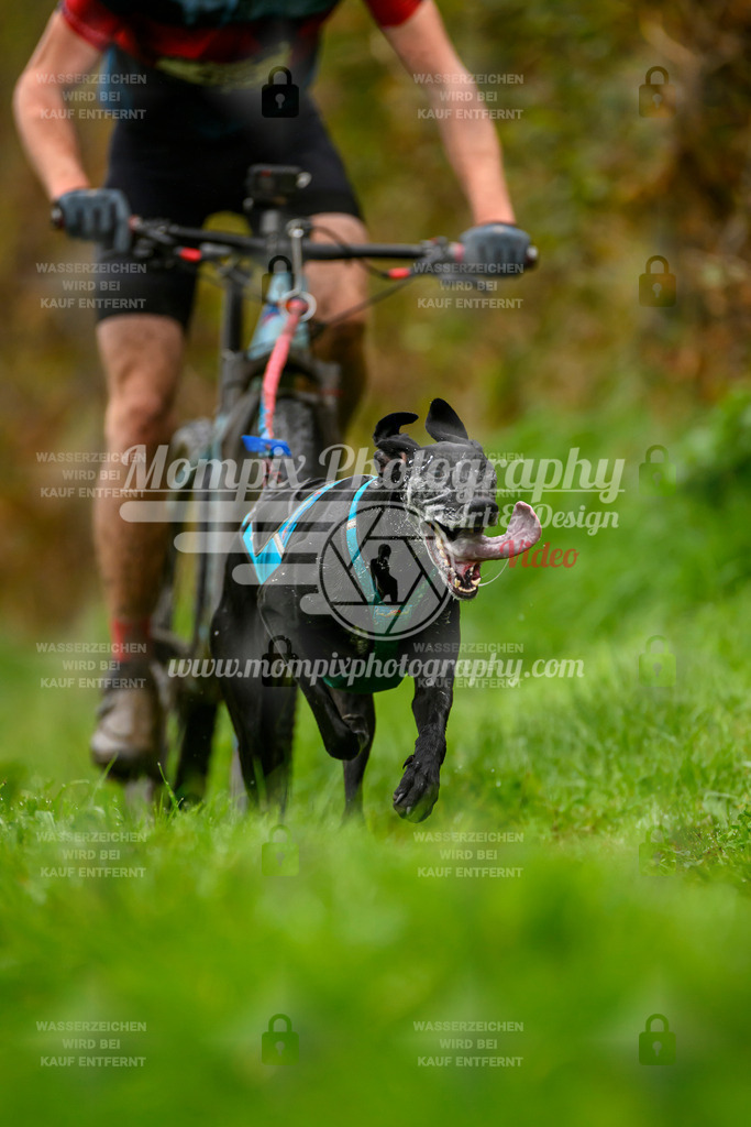 MompixPhotography_20TSB_E8_Bike-10 | PayLife