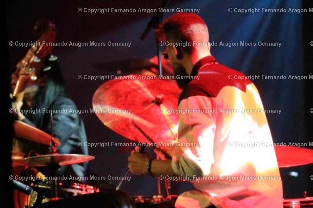 IMG_5284 | aragon-pics - Realisiert mit Pictrs.com