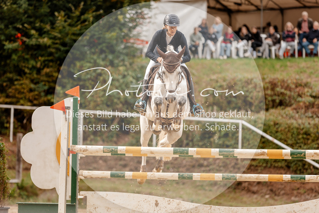 3I6A8209 | Stimmungsvolle Portraits und Reitsportfotografie im Ruhrgebiet und im Münsterland.

Pferdefotografie, Hundefotografie, Tierfotografie, Reportagen, Portraits von Tier und Mensch, Turnierfotografie in Bochum, Recklinghausen, Marl, Haltern am See, Dülmen.. - Realisiert mit Pictrs.com