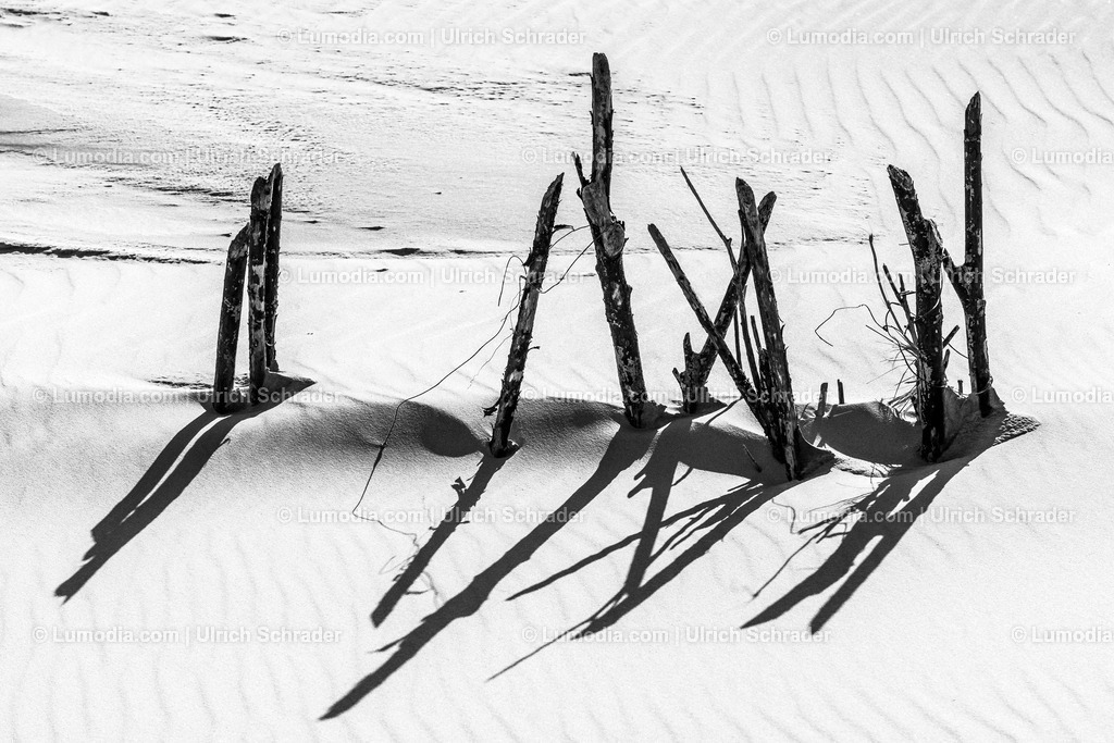 Bild 29 _ Am Strand | Stockfoto und Bilderpool mit Bildmaterial aus Deutschland, dem Harz, Halberstadt, Quedlinburg, Wernigerode und weltweit. Qualitativ hochwertige und professionelle Fotos anschauen und kaufen. - Realisiert mit Pictrs.com