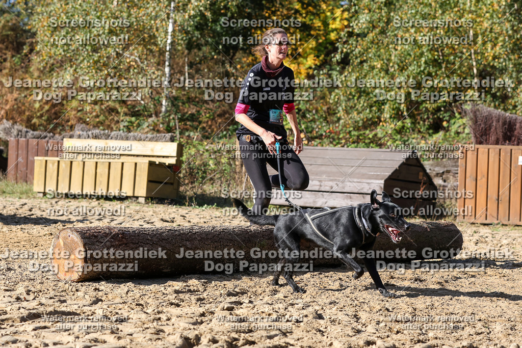Dog Paparazzi - Strongdog 10-25-2938 | Dog Paparazzi Jeanette Grottendiek Fotografie & Videografie - Realisiert mit Pictrs.com