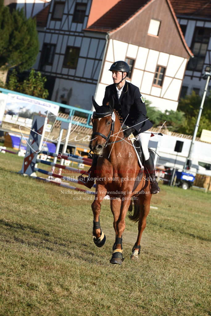 DSC_4971 | Pferde- und Turnierfotografie in Westsachsen. Pferdeportraits, Auftragszeichnungen und intuitive Kunst.