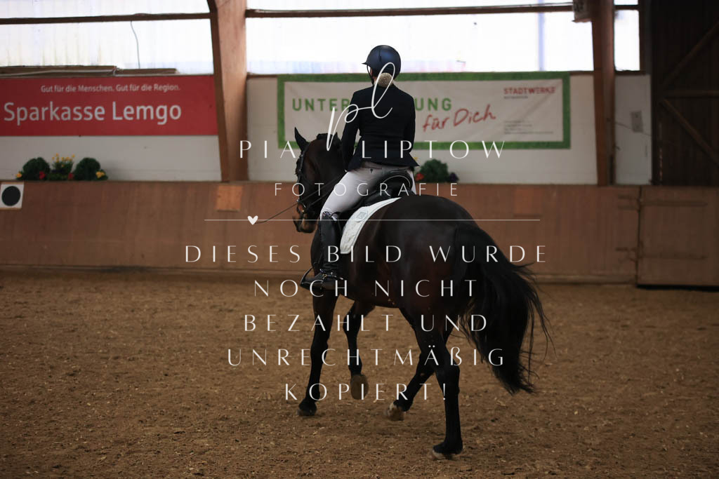 IMGT6844 | pl-fotografie