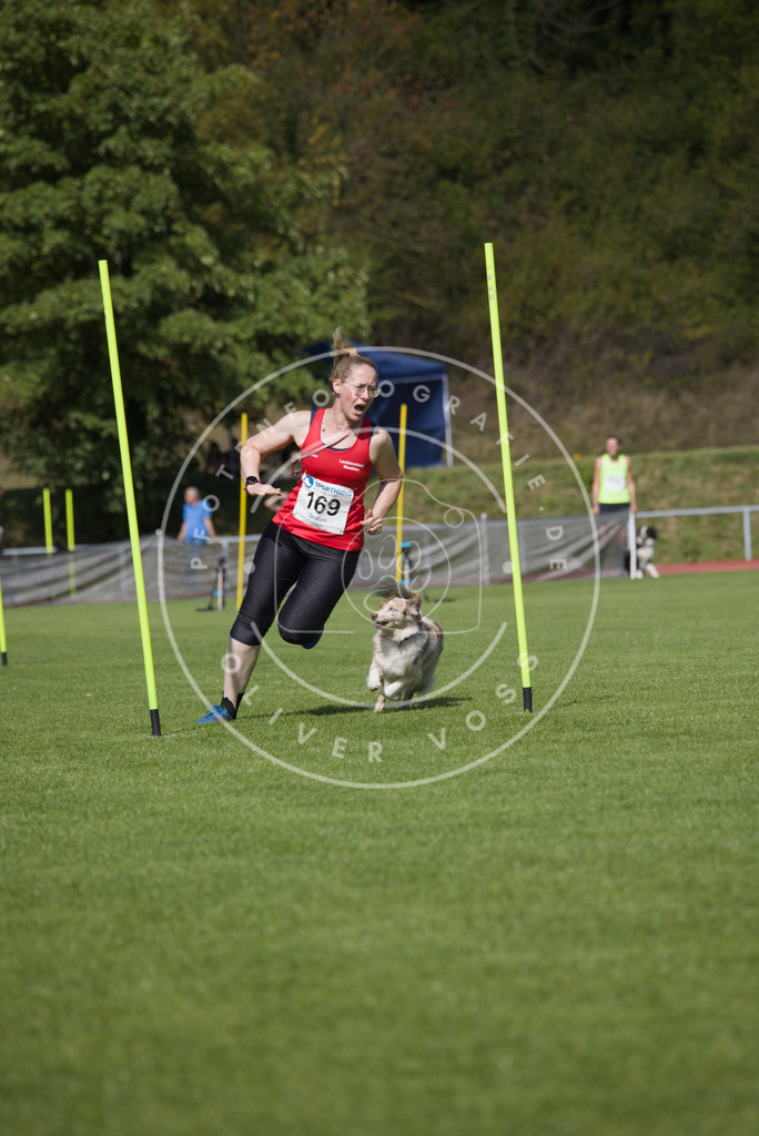 0L8A3283 | Hundefotografie, Tierfotograf, Pfotenfotografie, Fotoshooting Hund, Hunde Portrait, Hundesport, Hundeportraits, Heideshooting, Hunde, Sportfotograf, Hundefotograf, Turnierhundsport, THS,  - Realisiert mit Pictrs.com