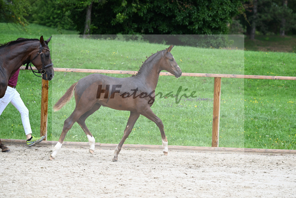 Kat-Nr. 16 SF Flashbang_Fischer_25230322 | hf-fotografie - Realisiert mit Pictrs.com