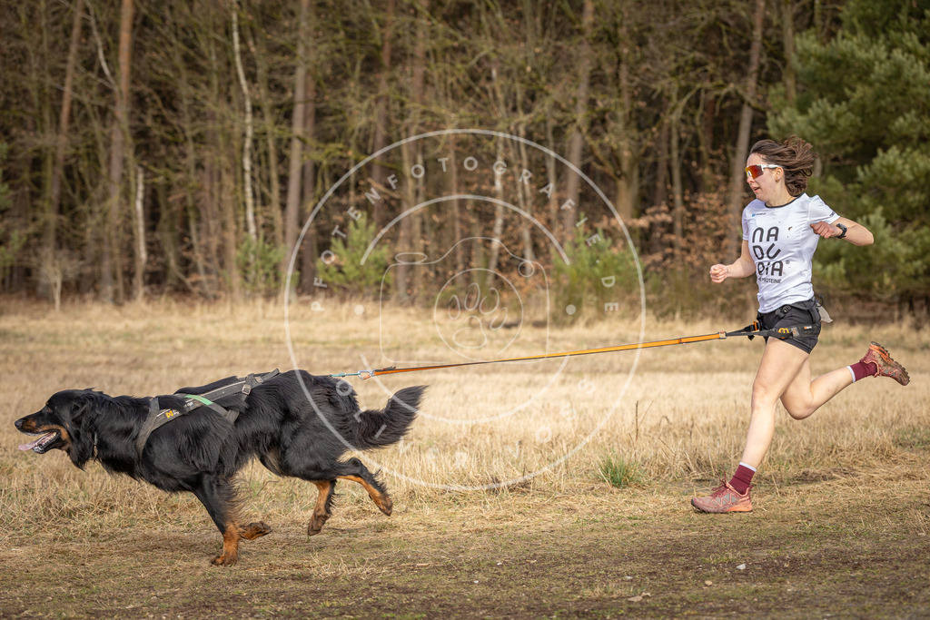 DV3A3642 | Hundefotografie, Tierfotograf, Pfotenfotografie, Fotoshooting Hund, Hunde Portrait, Hundesport, Hundeportraits, Heideshooting, Hunde, Sportfotograf, Hundefotograf, Turnierhundsport, THS,  - Realisiert mit Pictrs.com