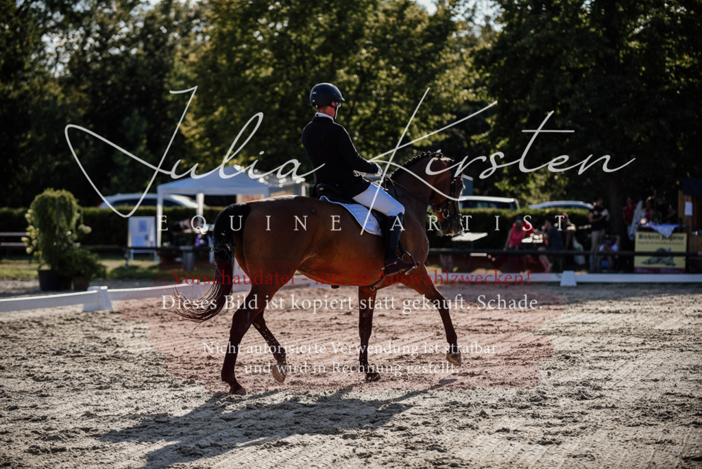 DSC_0597 | Pferde- und Turnierfotografie in Westsachsen. Pferdeportraits, Auftragszeichnungen und intuitive Kunst.