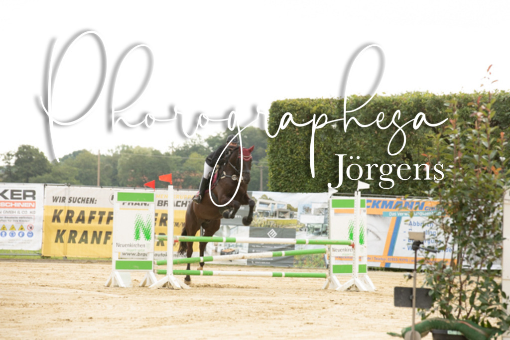 IMG_6548 | photographesa-joergens - Realisiert mit Pictrs.com