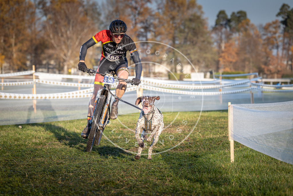 CaniXpix_0L8A3724 | Hundefotografie, Tierfotograf, Pfotenfotografie, Fotoshooting Hund, Hunde Portrait, Hundesport, Hundeportraits, Heideshooting, Hunde, Sportfotograf, Hundefotograf, Turnierhundsport, THS,  - Realisiert mit Pictrs.com