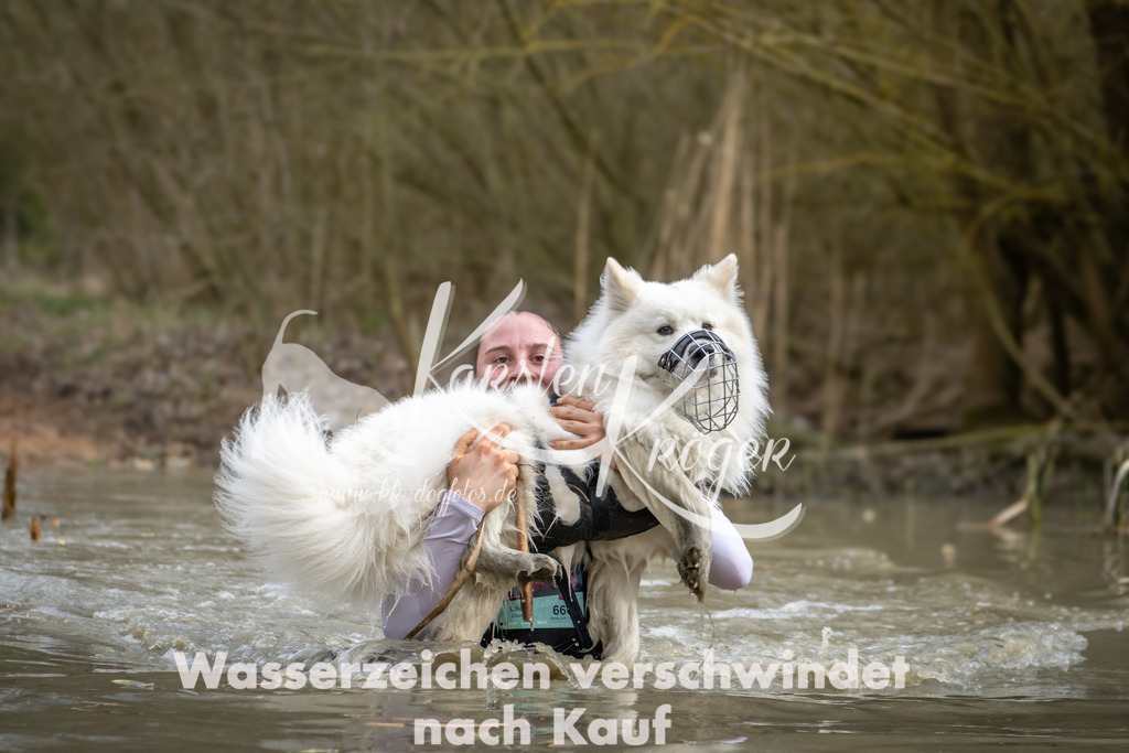 1557_ZZ94969 | kk-dogfotos