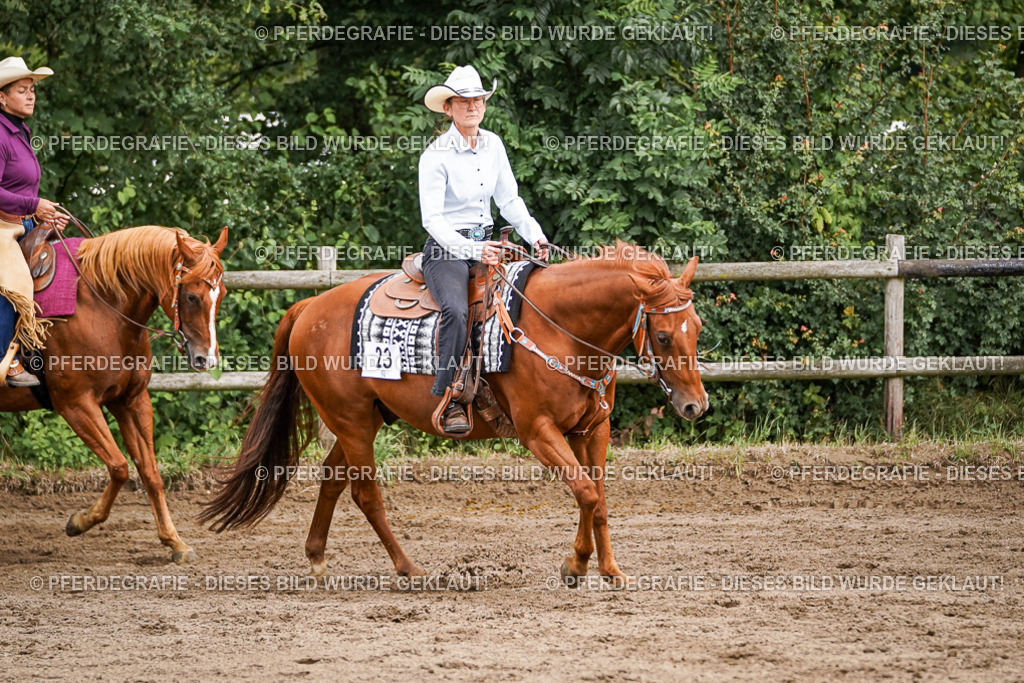 DSC08679 | Pferdegrafie