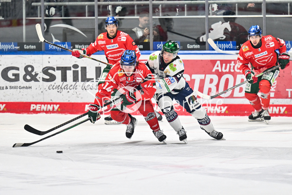 Augsburger Panther - Eisbären Berlin | AUGSBURG, GERMANY - 27. JANUARY: im Duell D. J. BUSDEKER (Augsburger Panther 14) und Frederik TIFFELS (Eisbären Berlin 95) während dem Match zwischen den Augsburger Panthern und den Fischtown Pinguins am 43. Spieltag der Penny DEL im Curt Frenzel Stadion