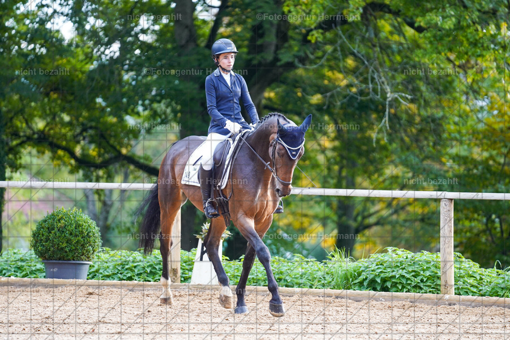20221008-FAH00836 | Diessen am Ammersee, 2022, Dressur- und Springturnier, Reitsportbilder, Turnierfotografen Bayern, Pferdefotografen, Fotoagentur Herrmann, Turnierbilder