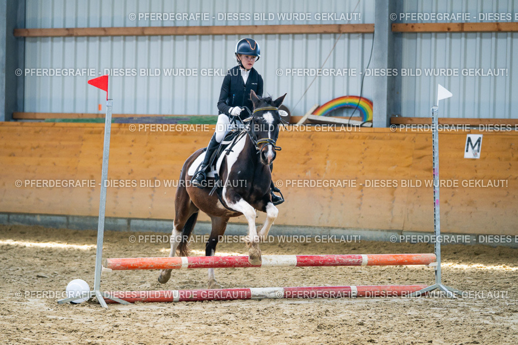 DSC01955 | Pferdegrafie